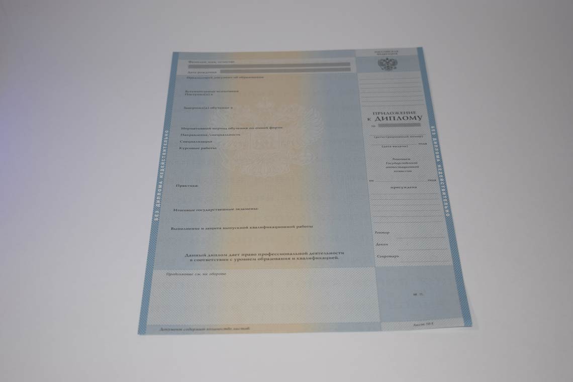 Приложение диплома Бакалавра в Арзамасе 2003-2008