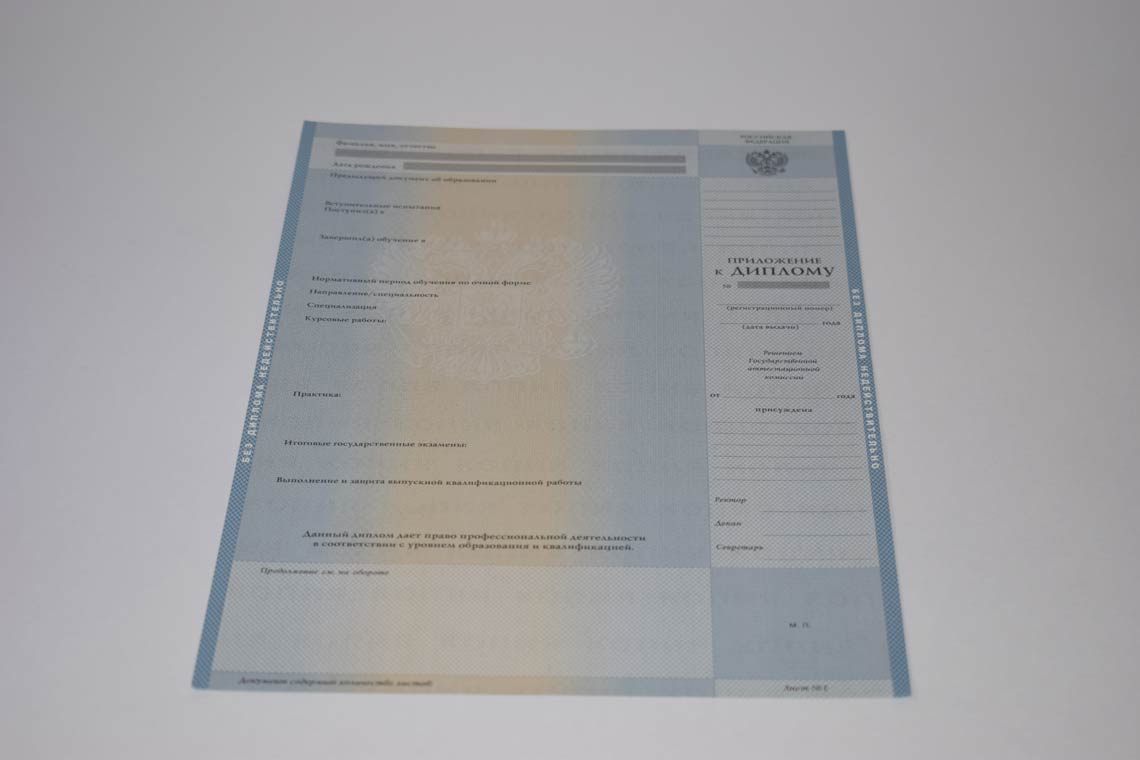 Диплом Магистра с 2003-2008 в Арзамасе приложение